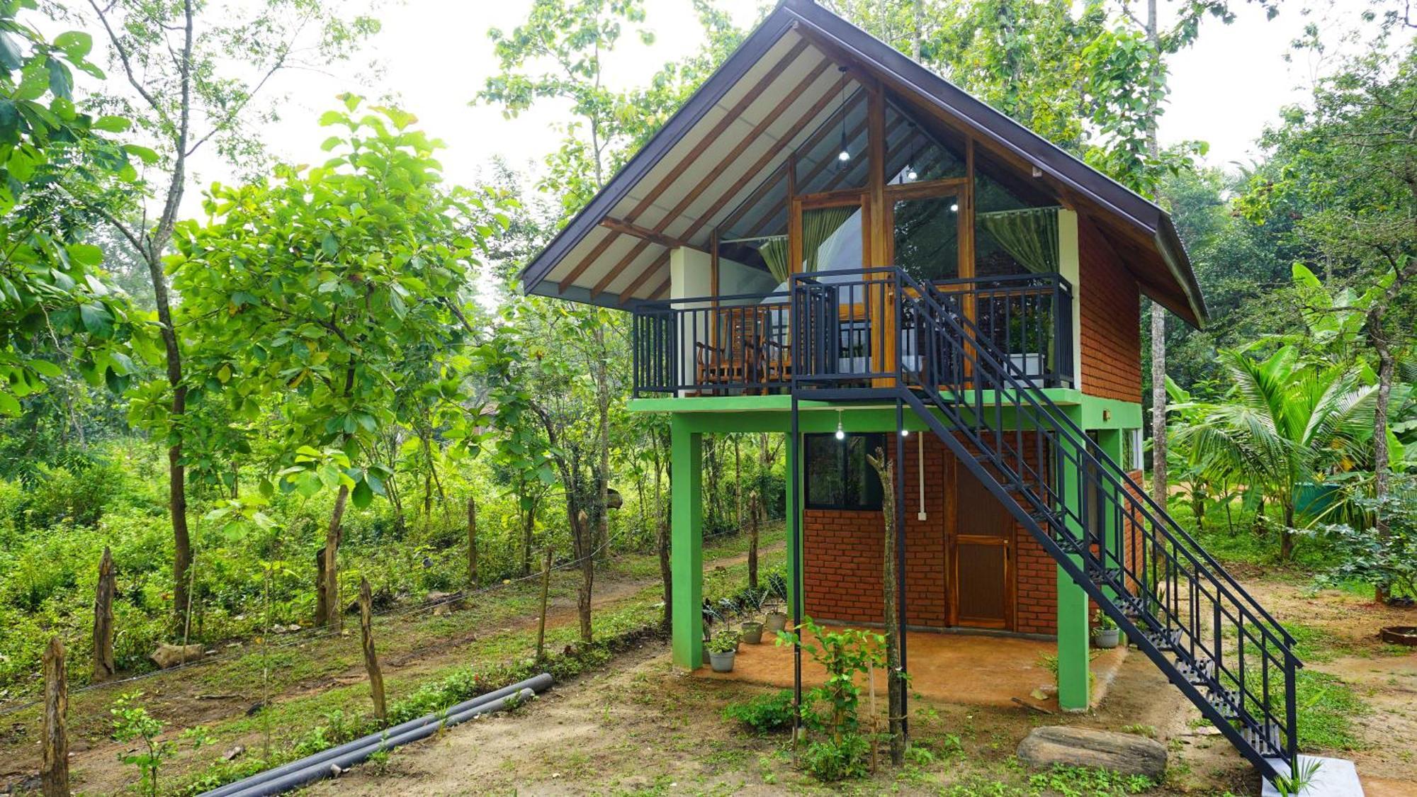 Sigiri Saat Cabana Sigiriya Exterior foto