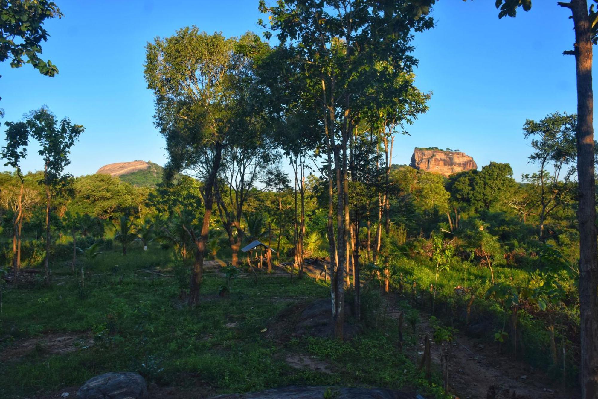 Sigiri Saat Cabana Sigiriya Exterior foto